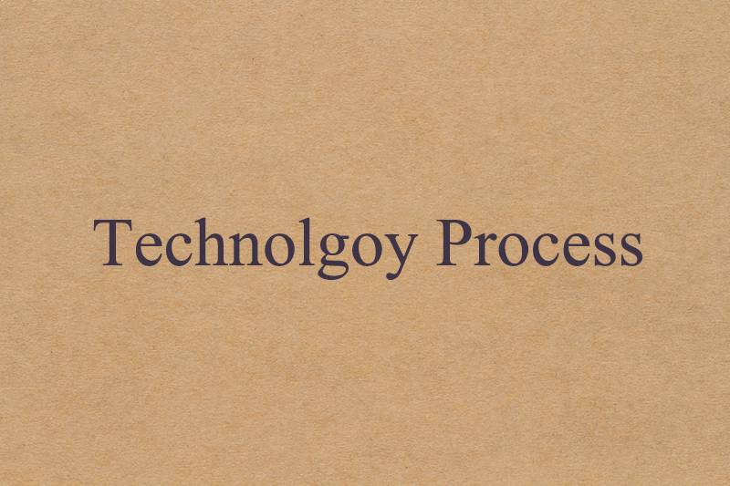 Technology Process